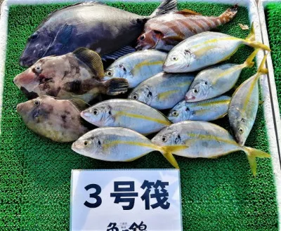 三重外湾漁協 錦事業所直営 釣り筏の2022年10月23日(日)2枚目の写真