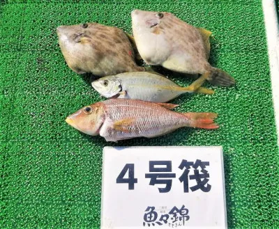 三重外湾漁協 錦事業所直営 釣り筏の2022年10月28日(金)2枚目の写真