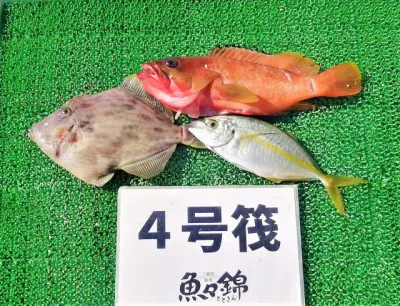 三重外湾漁協 錦事業所直営 釣り筏の2022年10月30日(日)2枚目の写真