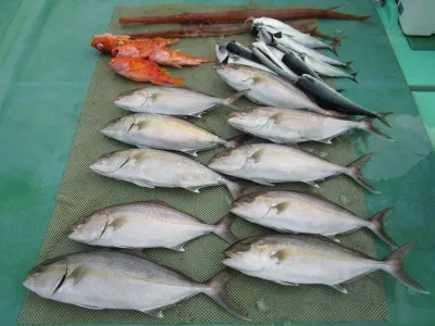 安延遊漁　建鳳丸の2022年12月16日(金)1枚目の写真