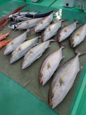 安延遊漁　建鳳丸の2022年12月16日(金)2枚目の写真