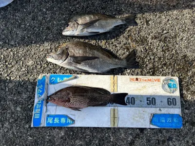 川端渡船の2022年12月26日(月)3枚目の写真