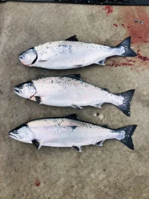 漁恵丸の2023年1月13日(金)2枚目の写真