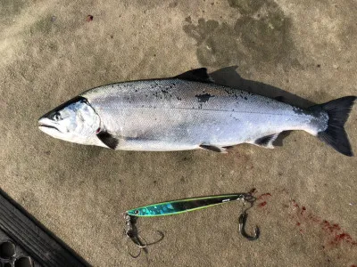 漁恵丸の2023年1月13日(金)3枚目の写真