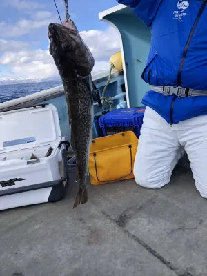 漁恵丸の2023年1月16日(月)4枚目の写真