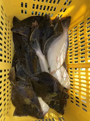 漁恵丸の2023年1月16日(月)5枚目の写真