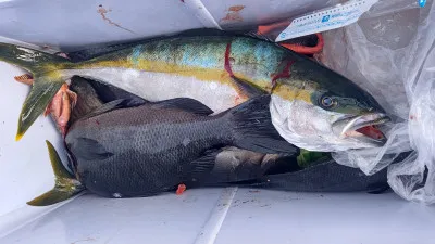 清家渡船の2023年1月20日(金)3枚目の写真