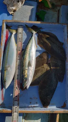 釣り船 秀進丸の2023年1月20日(金)2枚目の写真