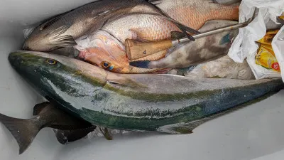 清家渡船の2023年1月22日(日)2枚目の写真