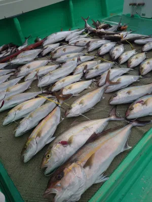 安延遊漁 建鳳丸の2023年1月22日(日)1枚目の写真