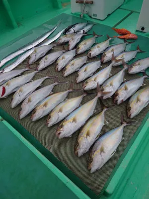 安延遊漁 建鳳丸の2023年1月26日(木)1枚目の写真