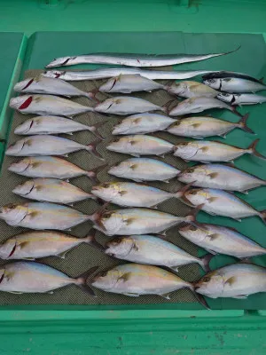 安延遊漁 建鳳丸の2023年1月26日(木)2枚目の写真