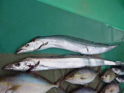 安延遊漁 建鳳丸の2023年1月26日(木)3枚目の写真