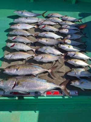 安延遊漁 建鳳丸の2023年1月31日(火)3枚目の写真