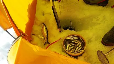 岩洞湖レストハウスの2023年1月27日(金)1枚目の写真