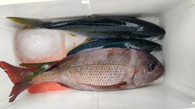 清家渡船の2023年2月3日(金)1枚目の写真