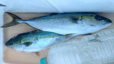 清家渡船の2023年2月3日(金)3枚目の写真