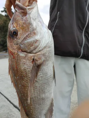 正徳丸の2023年2月4日(土)5枚目の写真