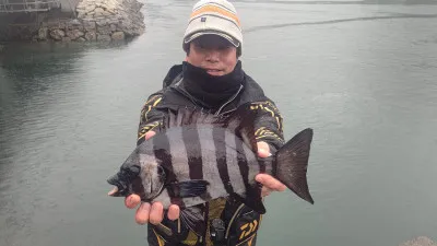 清家渡船の2023年2月7日(火)1枚目の写真