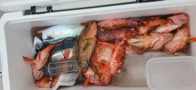 Fishing MOLA MOLAの2023年2月7日(火)4枚目の写真