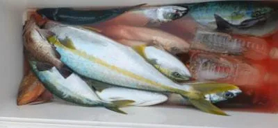 Fishing MOLA MOLAの2023年2月7日(火)5枚目の写真