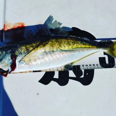 正徳丸の2023年2月8日(水)1枚目の写真