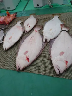 安延遊漁 建鳳丸の2023年2月11日(土)4枚目の写真