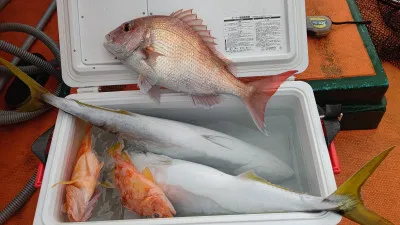 清家渡船の2023年2月12日(日)1枚目の写真