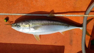 清家渡船の2023年2月12日(日)4枚目の写真