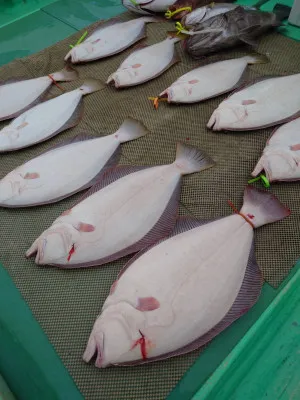 安延遊漁 建鳳丸の2023年2月12日(日)4枚目の写真