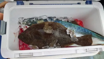 釣り船 秀進丸の2023年2月18日(土)4枚目の写真