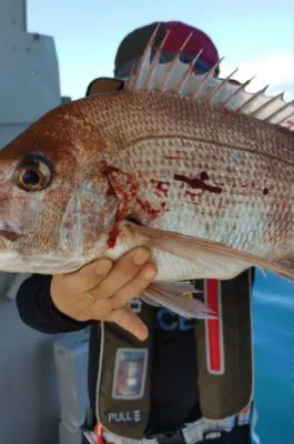 正徳丸の2023年2月20日(月)3枚目の写真