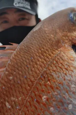 正徳丸の2023年2月20日(月)4枚目の写真