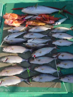 安延遊漁 建鳳丸の2023年2月22日(水)1枚目の写真