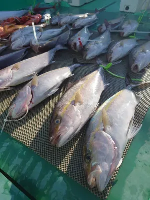 安延遊漁 建鳳丸の2023年2月22日(水)2枚目の写真