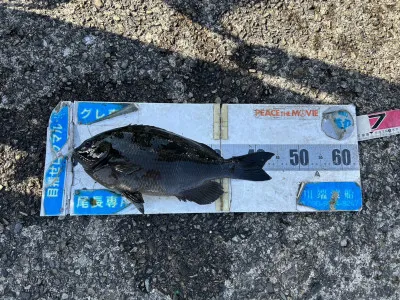 川端渡船の2023年2月25日(土)2枚目の写真