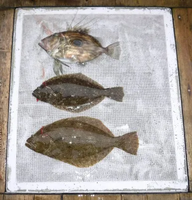 敏栄丸の2023年2月18日(土)1枚目の写真