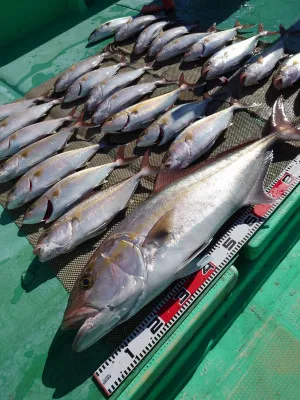 安延遊漁 建鳳丸の2023年2月28日(火)2枚目の写真