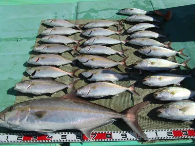 安延遊漁 建鳳丸の2023年2月28日(火)3枚目の写真