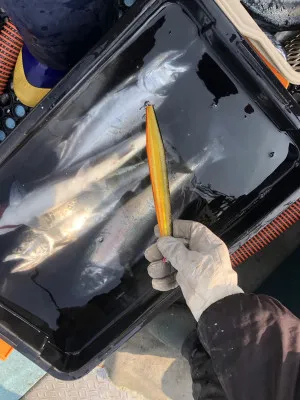 漁恵丸の2023年3月1日(水)3枚目の写真