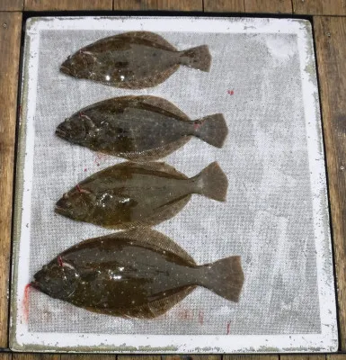 敏栄丸の2023年3月1日(水)3枚目の写真