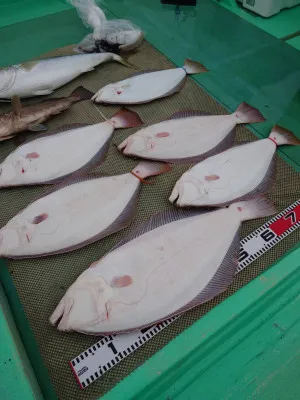 安延遊漁 建鳳丸の2023年3月4日(土)4枚目の写真