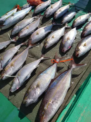 安延遊漁 建鳳丸の2023年3月5日(日)1枚目の写真