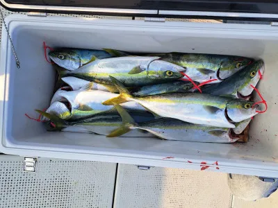 釣り船くわだの2023年3月7日(火)2枚目の写真