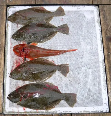 敏栄丸の2023年3月5日(日)1枚目の写真