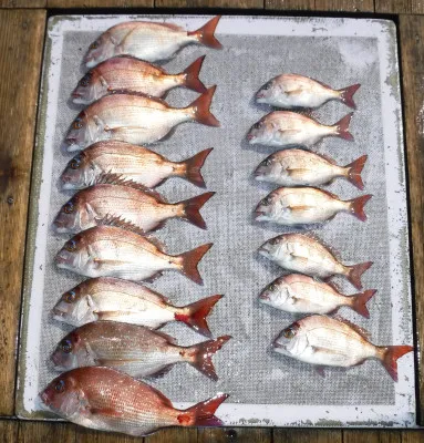 敏栄丸の2023年3月8日(水)1枚目の写真