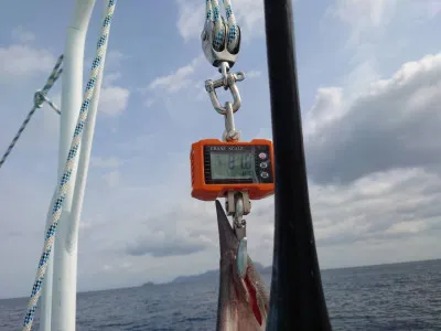 重郎平丸の2023年3月12日(日)3枚目の写真