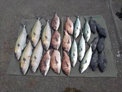 海上つり堀まるやの2023年3月13日(月)1枚目の写真