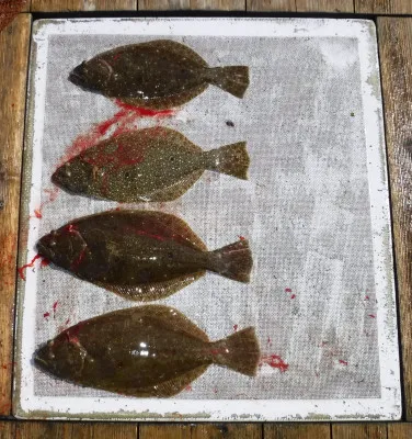 敏栄丸の2023年3月11日(土)3枚目の写真