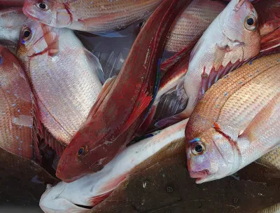 大盛丸の2023年3月15日(水)2枚目の写真